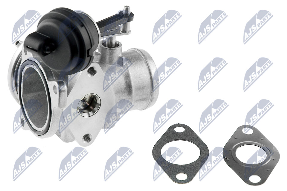 EGR Valve - EGR-SK-003 NTY