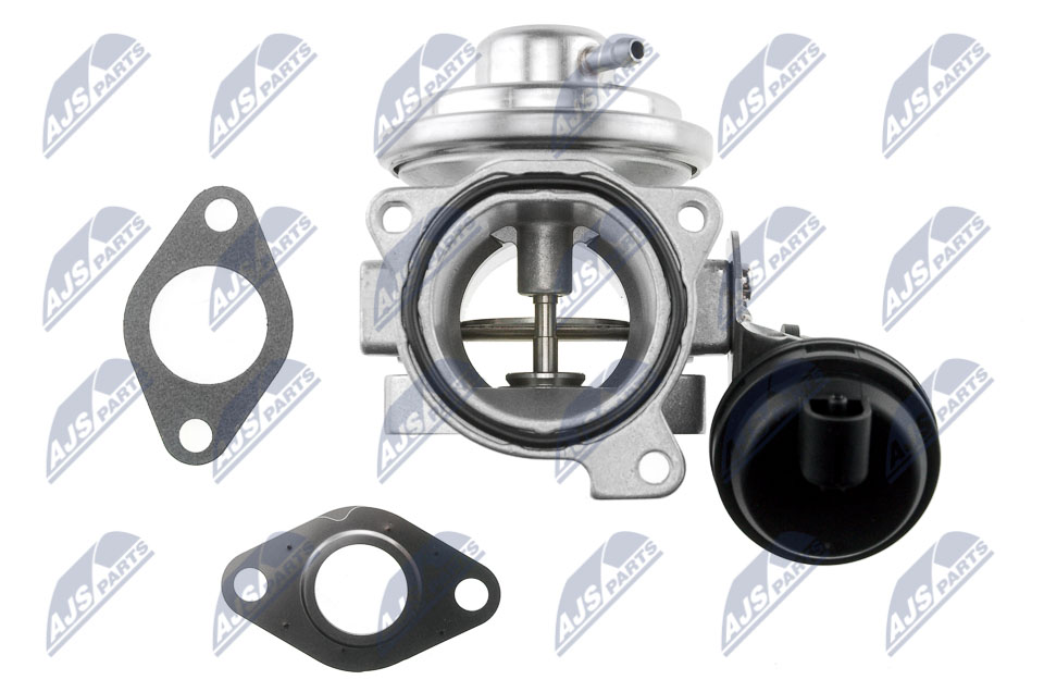 EGR Valve - EGR-SK-003 NTY