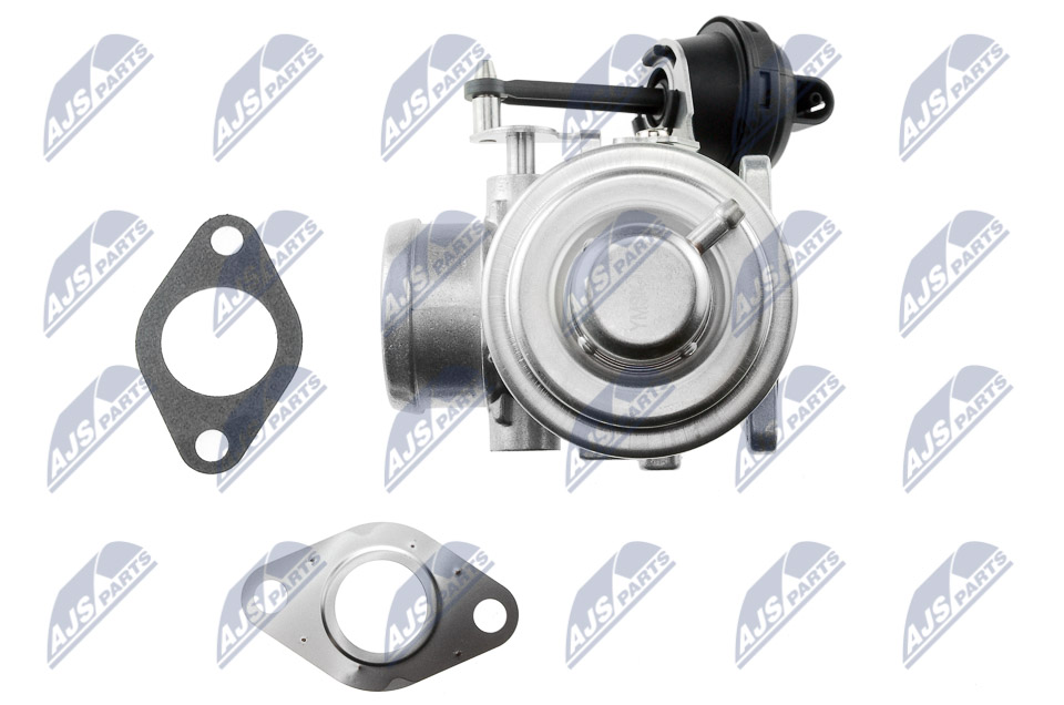 EGR Valve - EGR-SK-003 NTY