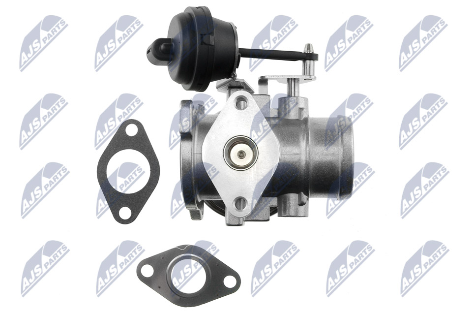 EGR Valve - EGR-SK-003 NTY