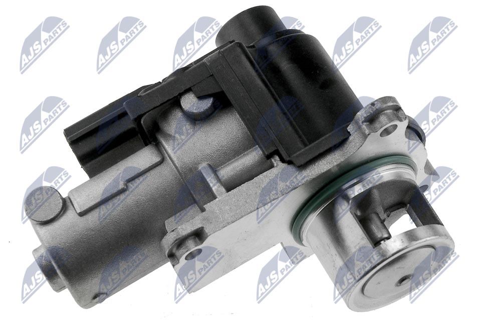 EGR Valve - EGR-VW-005 NTY