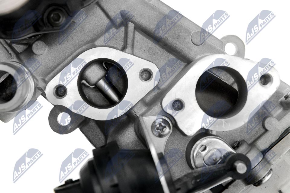 EGR Valve - EGR-VW-007 NTY