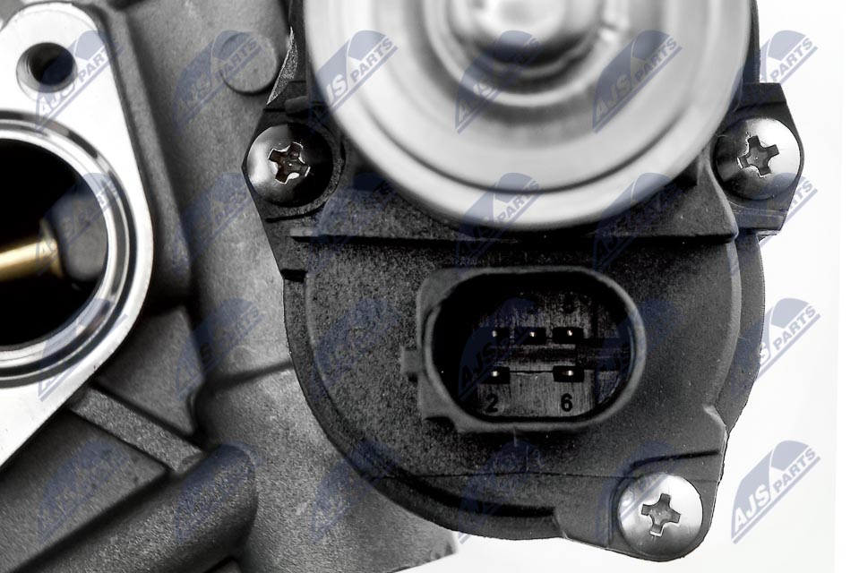 EGR Valve - EGR-VW-009 NTY