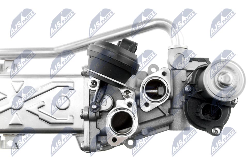 EGR Valve - EGR-VW-009 NTY