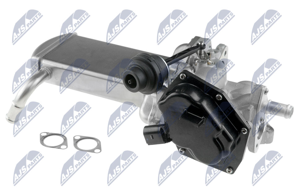 EGR Valve - EGR-VW-024 NTY