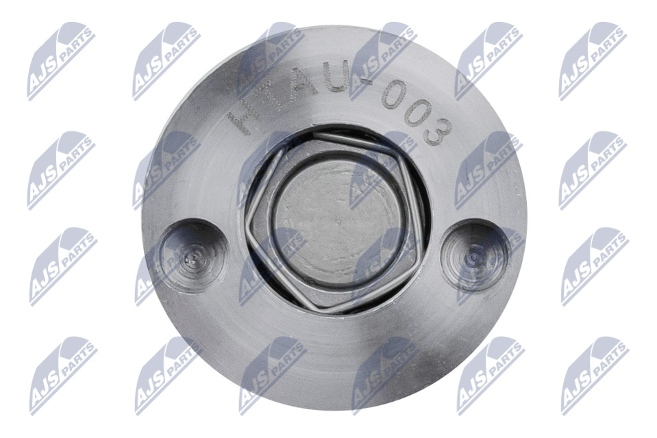 Central Valve, camshaft adjustment - ENK-AU-003 NTY