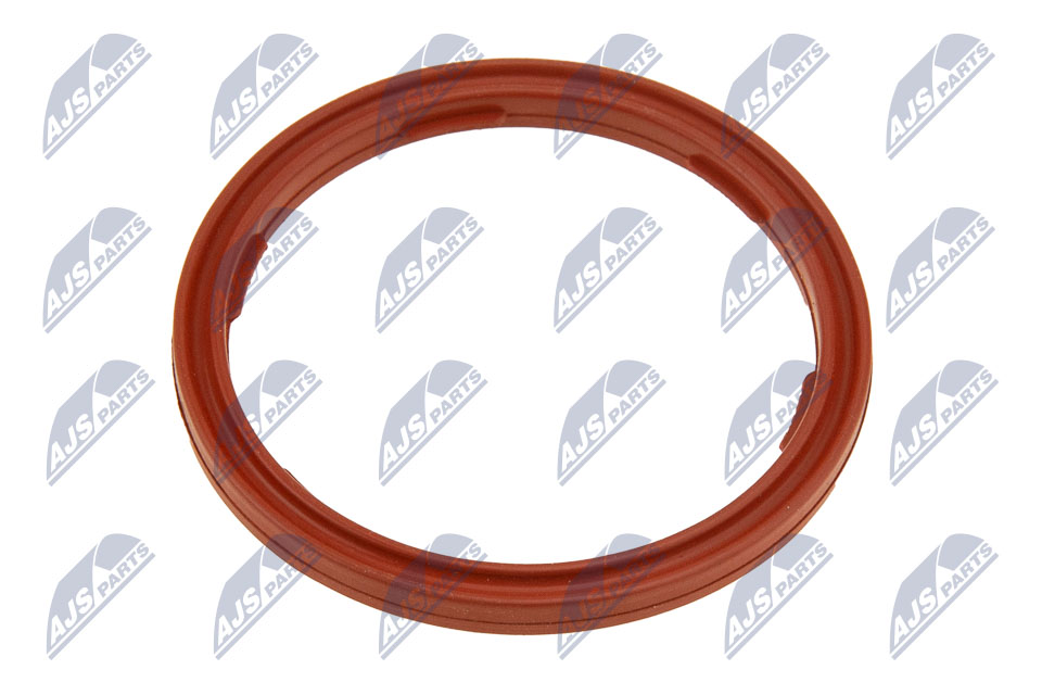 Seal Ring, engine oil level sensor - EPO-BM-010 NTY