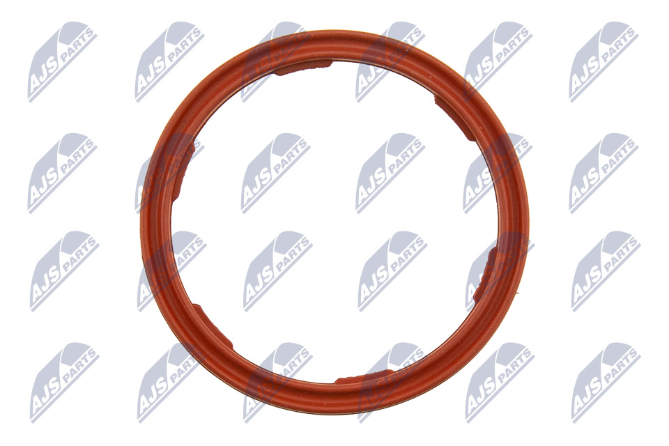 Seal Ring, engine oil level sensor - EPO-BM-010 NTY