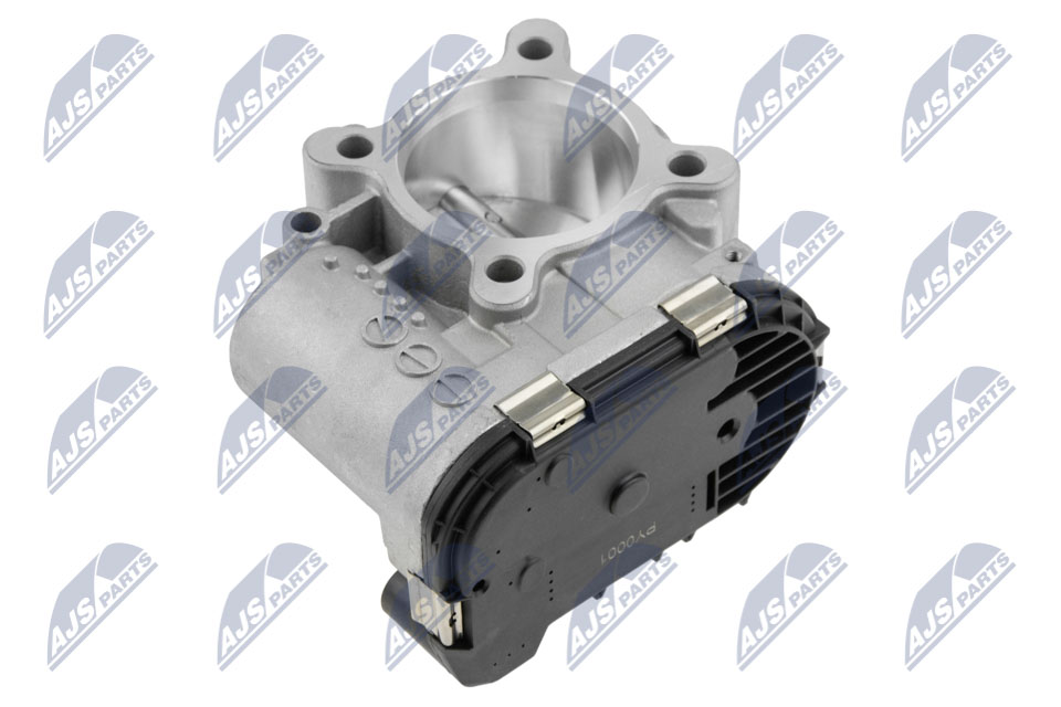 Throttle body - ETB-FR-000 NTY