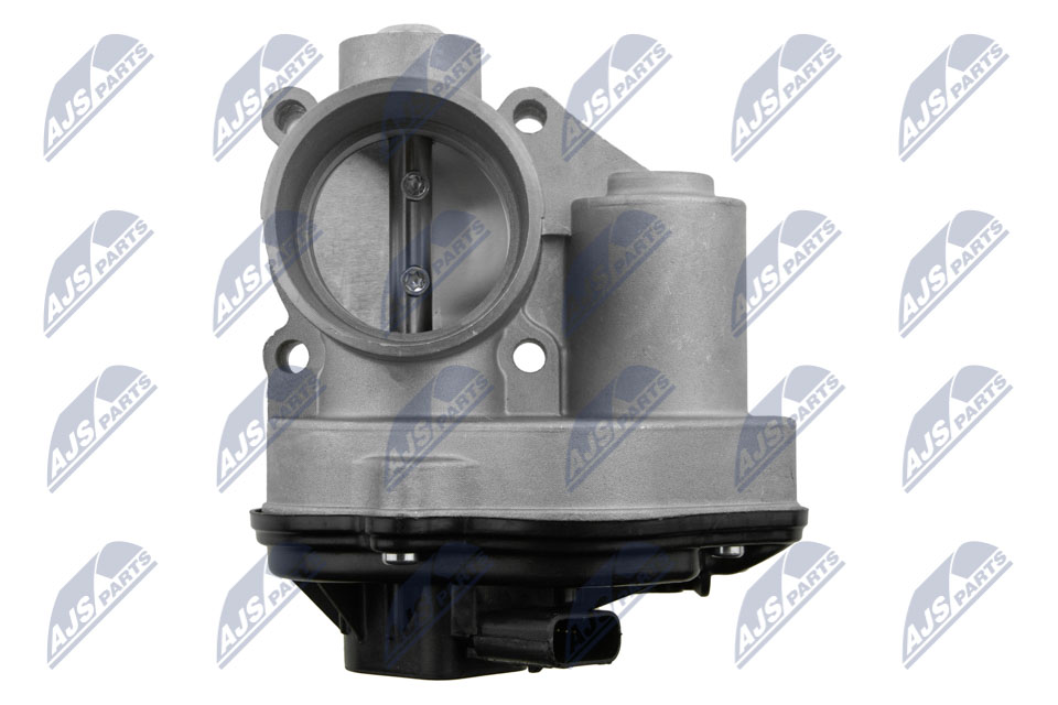 Throttle body - ETB-FR-001 NTY