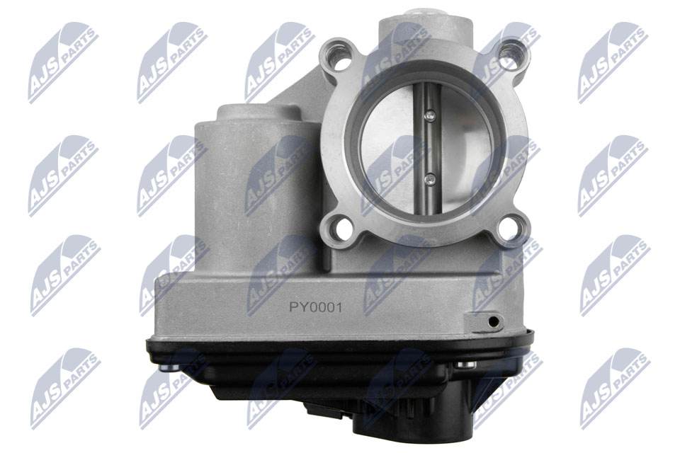 Throttle body - ETB-FR-001 NTY