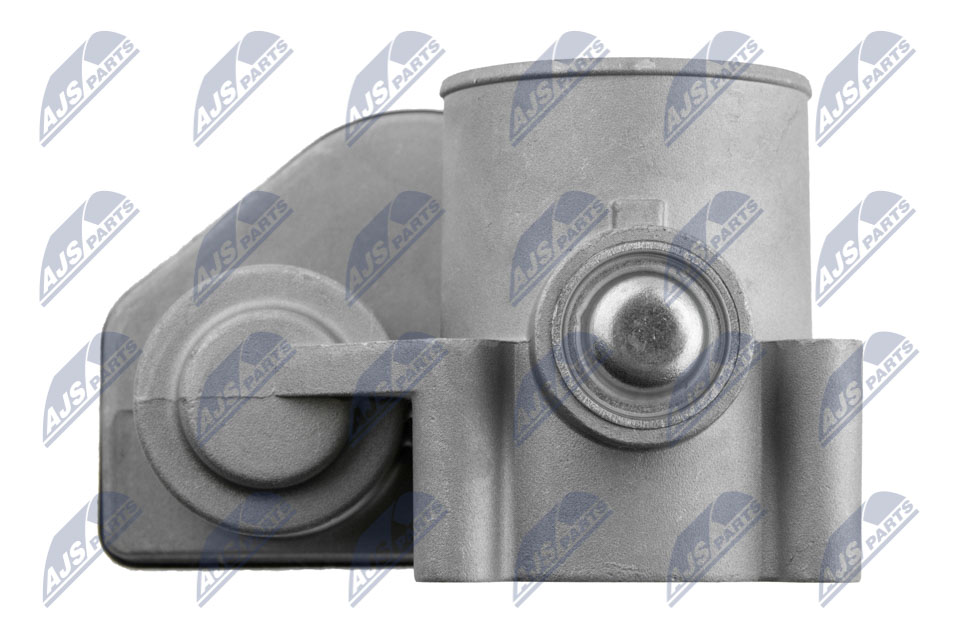 Throttle body - ETB-FR-001 NTY