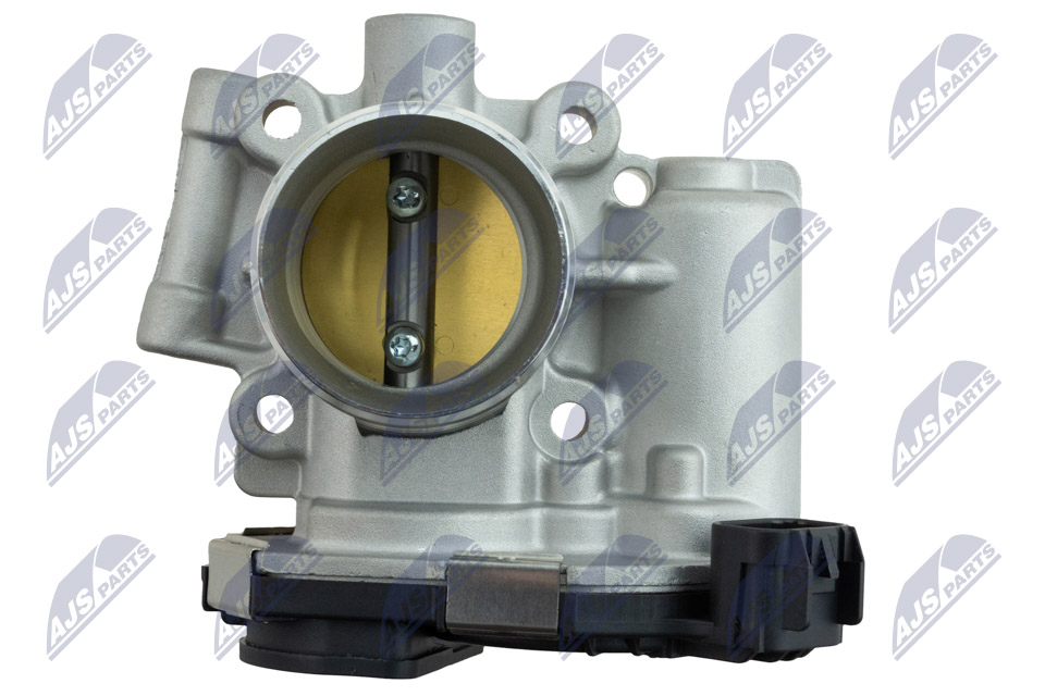 Throttle body - ETB-PL-003 NTY