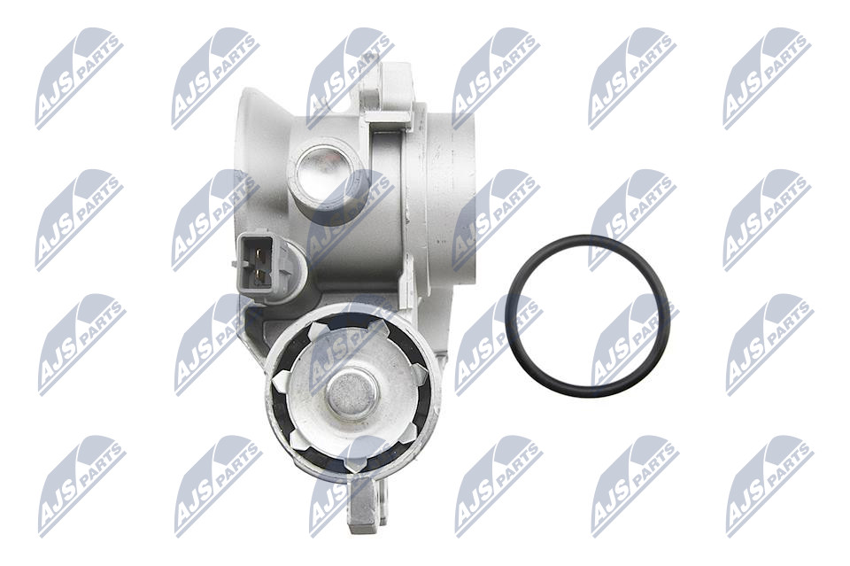 Throttle body - ETB-RE-003 NTY