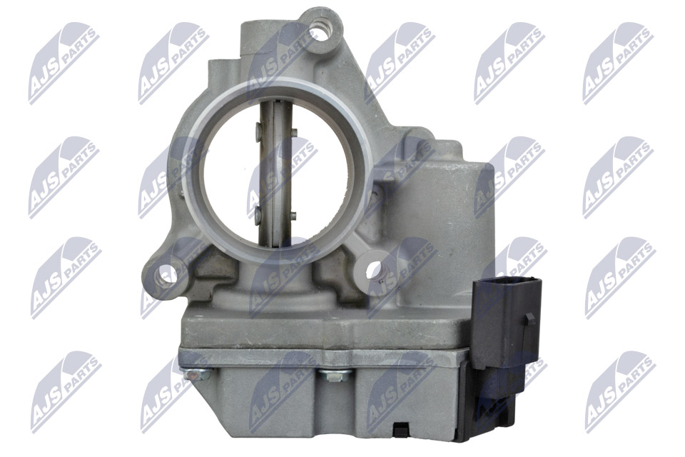 Throttle body - ETB-RE-005 NTY