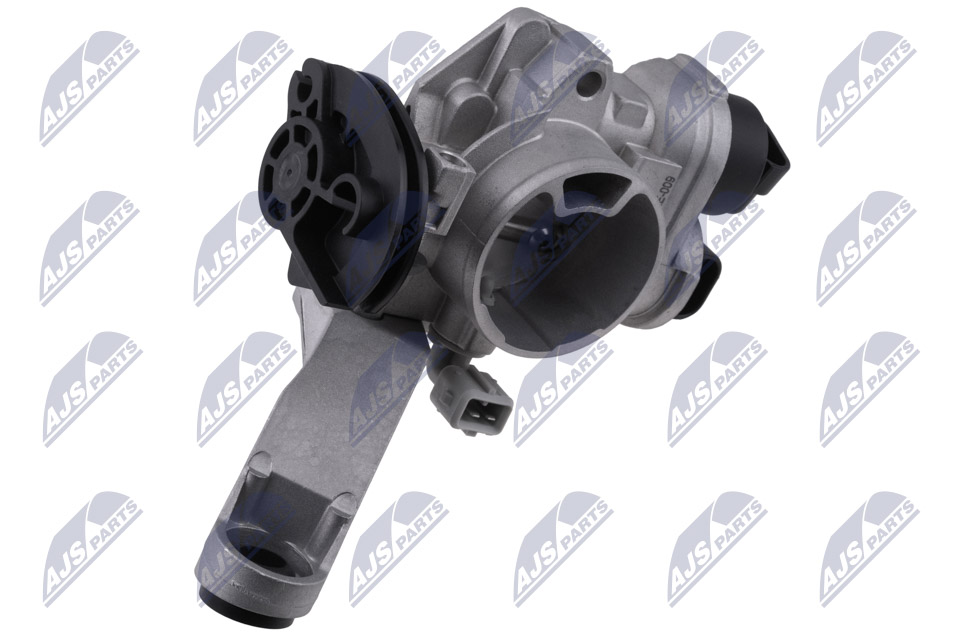 Throttle body - ETB-RE-009 NTY