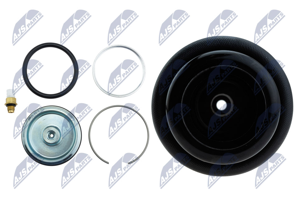 Air Spring Strut - EZC-ME-190 NTY