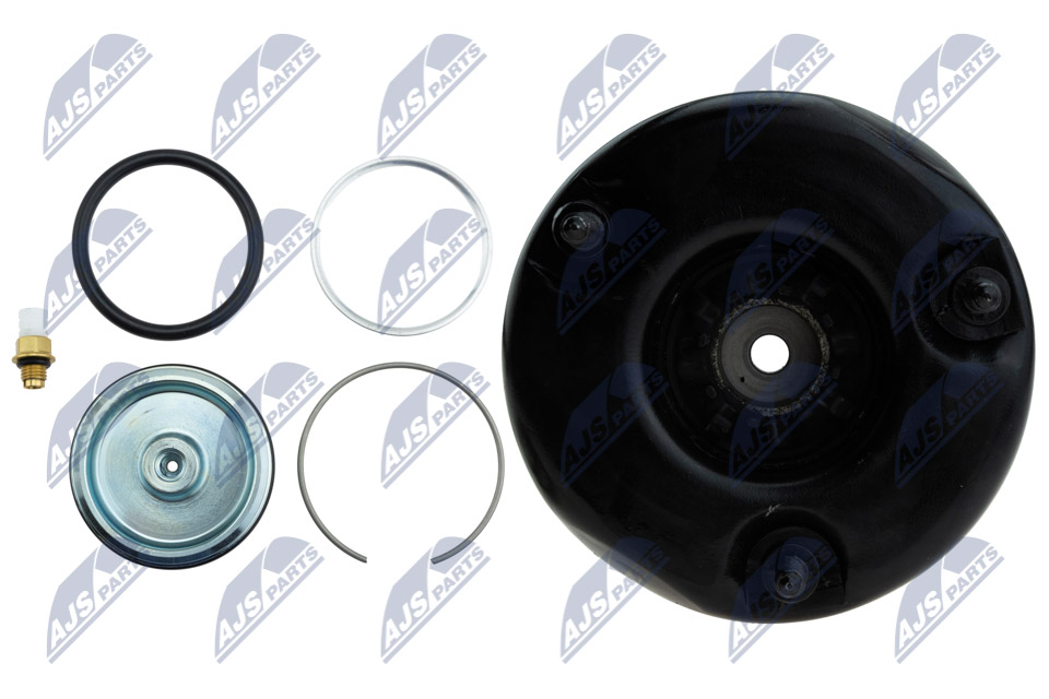 Air Spring Strut - EZC-ME-190 NTY