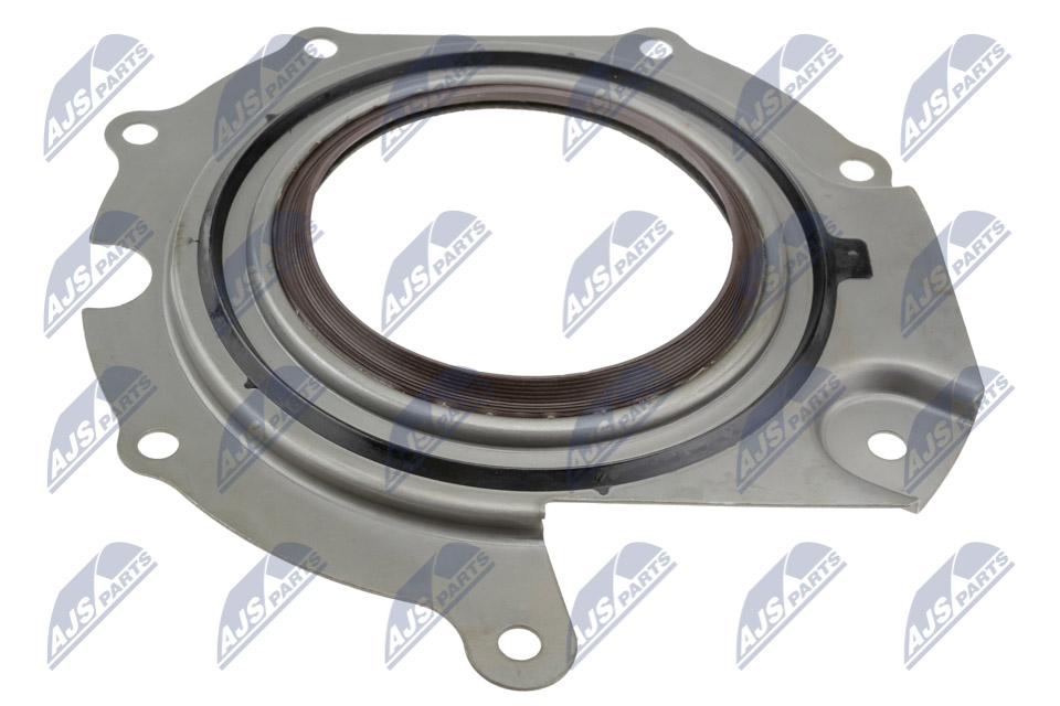 Paraolio. Pompa iniezione - NUP-FR-007 NTY