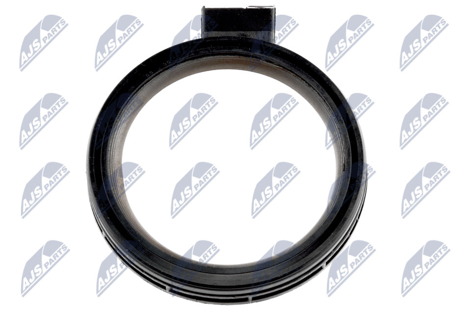Shaft Seal, crankshaft - NUP-PL-002 NTY