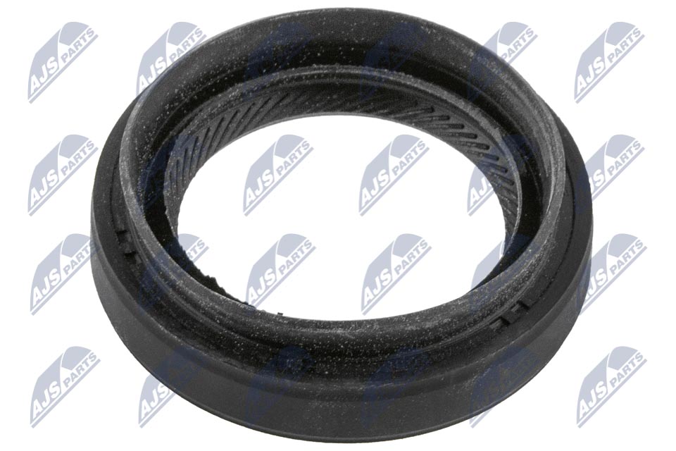 Paraolio, Albero primario - NUP-SB-007 NTY