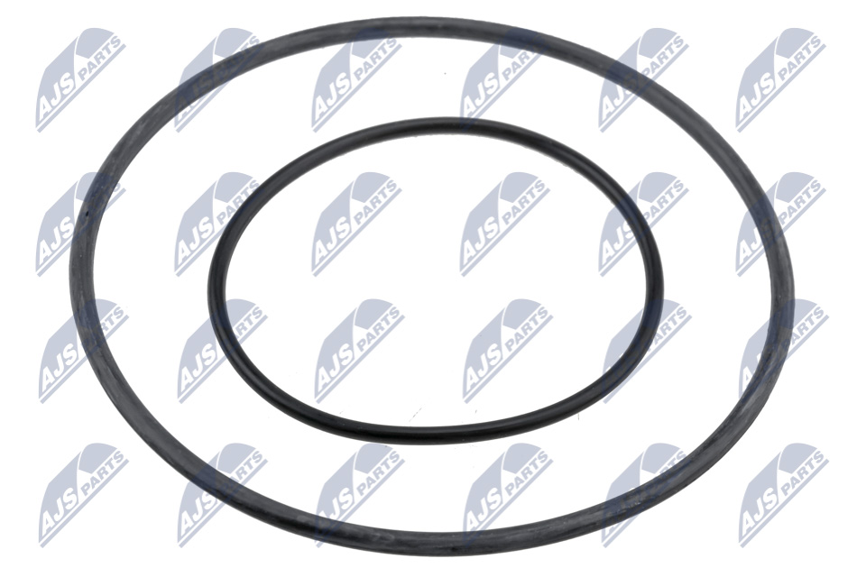 Anello tenuta, Portainiettore - PVP-BM-001 NTY