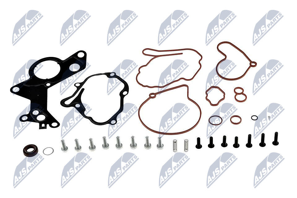 Repair Set, vacuum pump (braking system) - PVP-VW-000 NTY