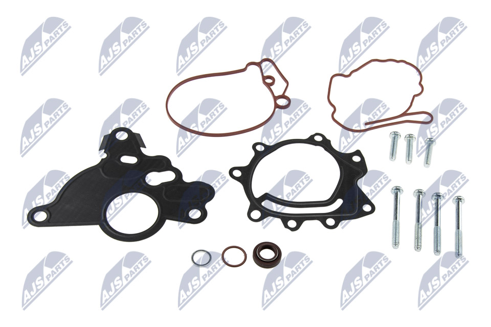 Vacuum Pump, braking system - PVP-VW-001 NTY