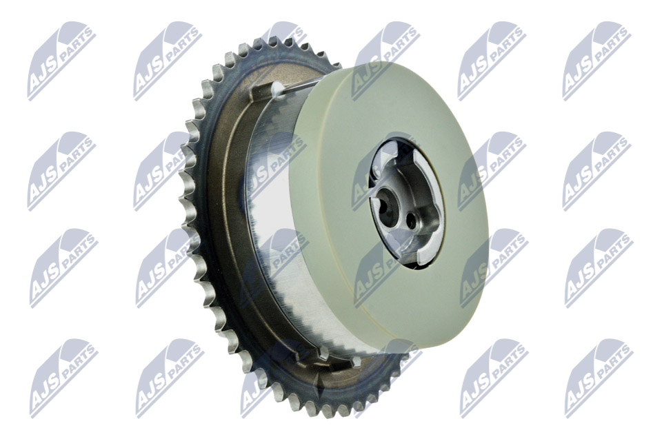 Gear, camshaft - RKZ-PL-000 NTY