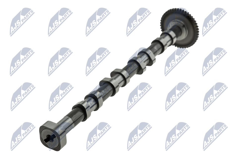 Camshaft - RKZ-VW-000 NTY