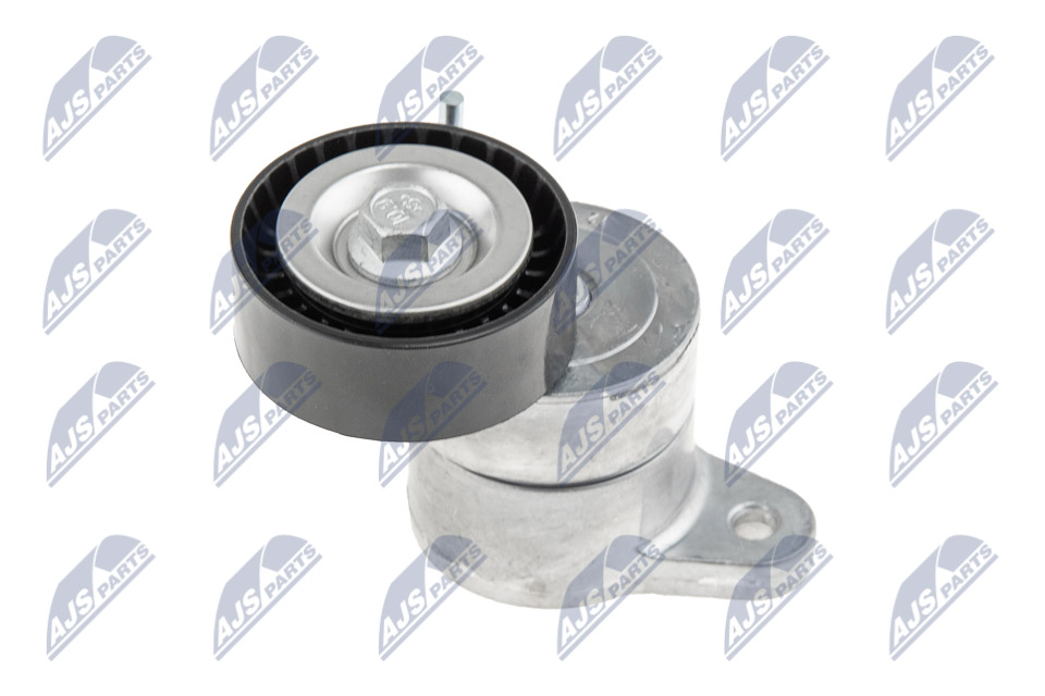 Tendicinghia, Cinghia Poly-V - RNK-CH-007 NTY