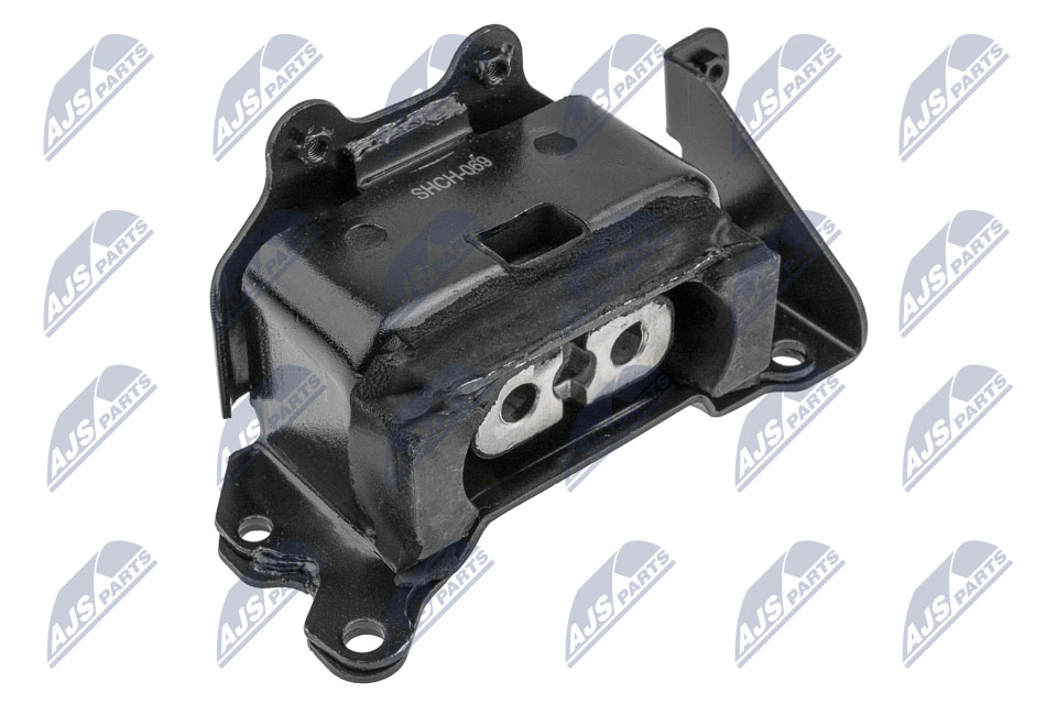 variklio montavimas - ZPS-CH-069 NTY