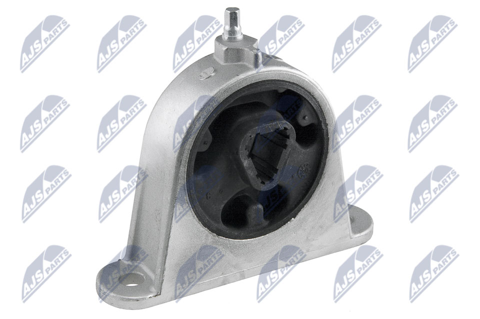 variklio montavimas - ZPS-CH-074 NTY