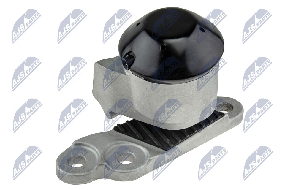 variklio montavimas - ZPS-FR-053 NTY
