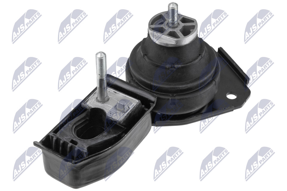 variklio montavimas - ZPS-FR-079 NTY
