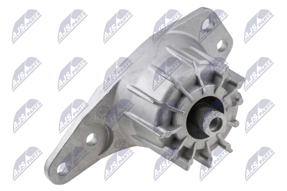 variklio montavimas - ZPS-FT-039 NTY