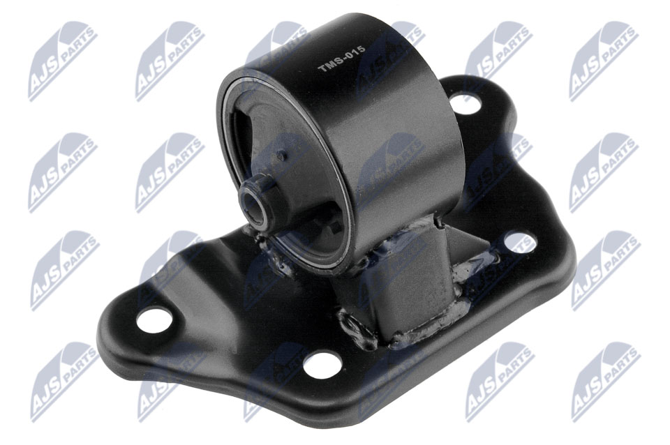 variklio montavimas - ZPS-MS-015 NTY