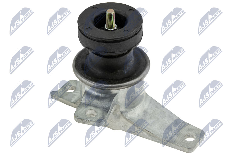 variklio montavimas - ZPS-MS-026 NTY