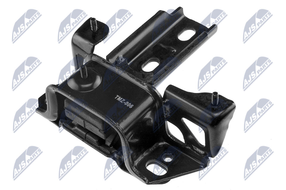 variklio montavimas - ZPS-MZ-006 NTY