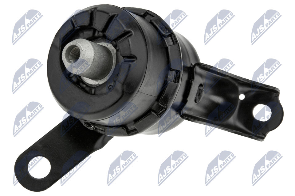 variklio montavimas - ZPS-MZ-019 NTY