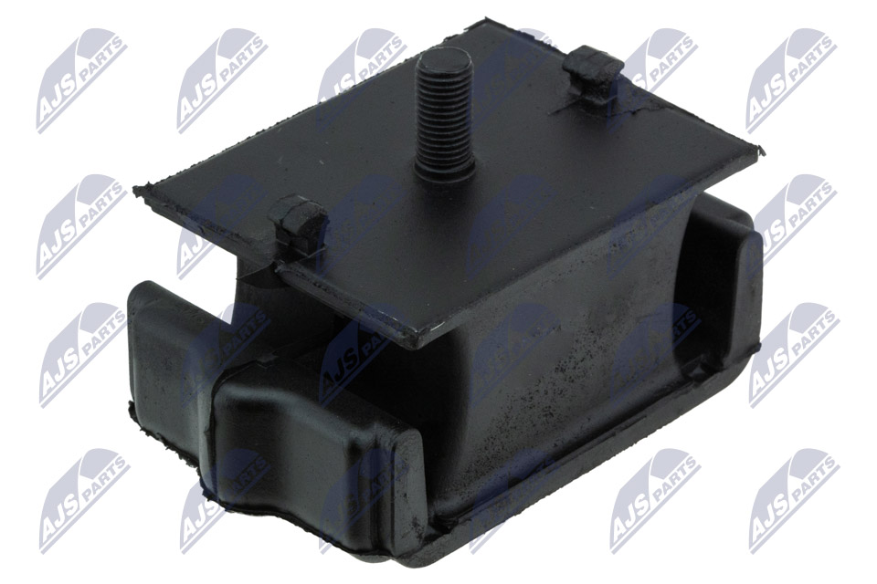 variklio montavimas - ZPS-MZ-027 NTY