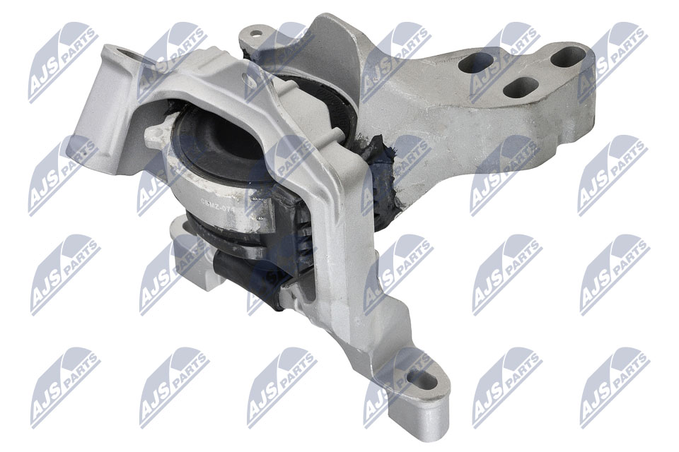 variklio montavimas - ZPS-MZ-071 NTY