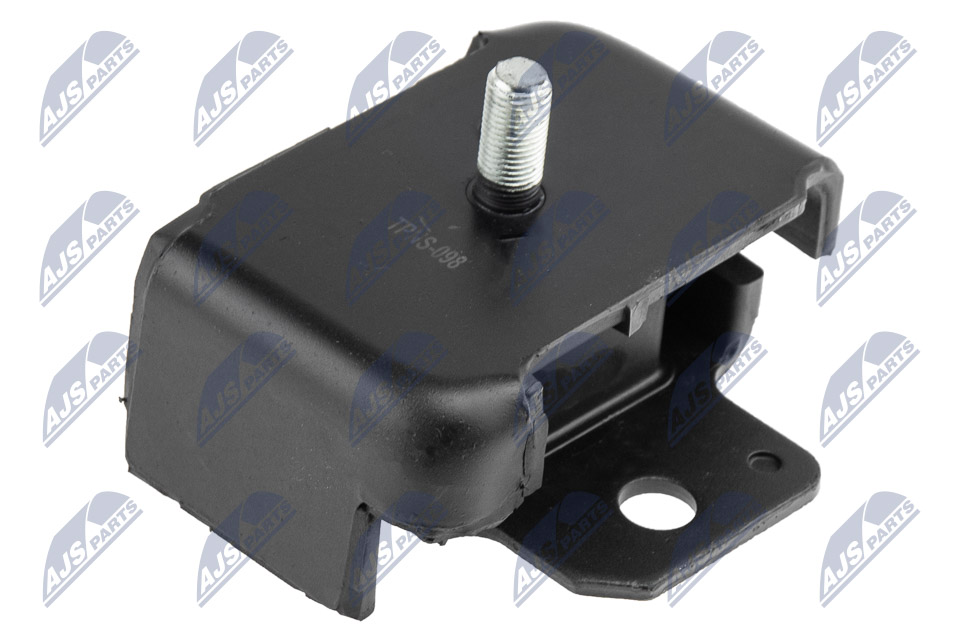 variklio montavimas - ZPS-NS-098 NTY