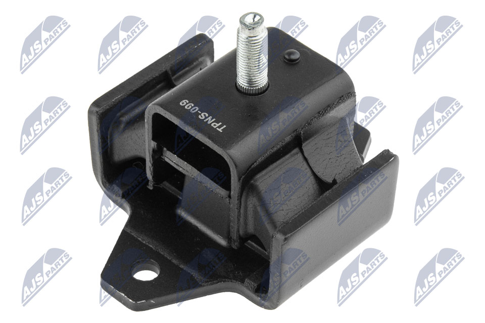 variklio montavimas - ZPS-NS-099 NTY