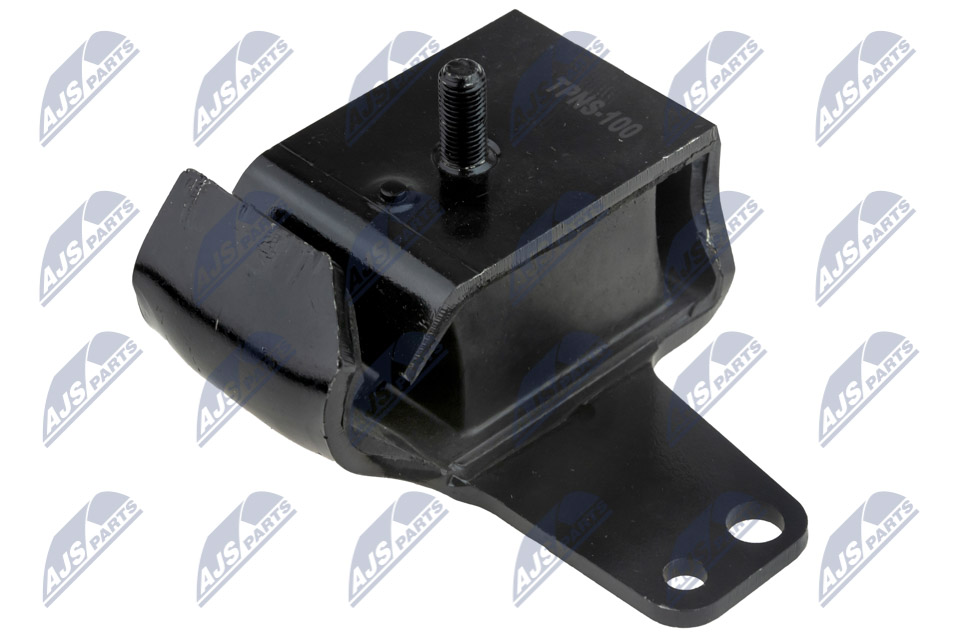 variklio montavimas - ZPS-NS-100 NTY