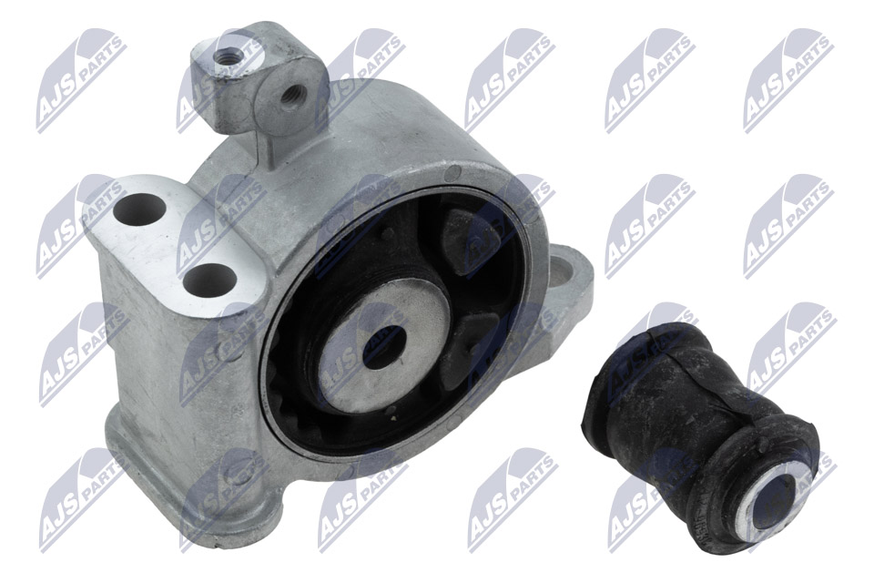 variklio montavimas - ZPS-NS-166 NTY