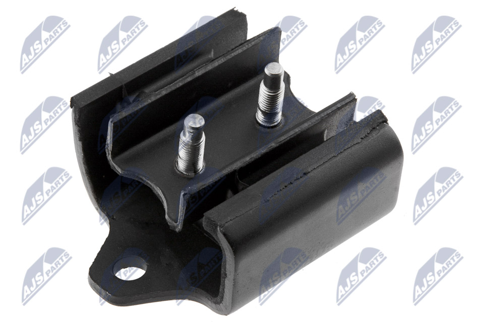 variklio montavimas - ZPS-NS-169 NTY