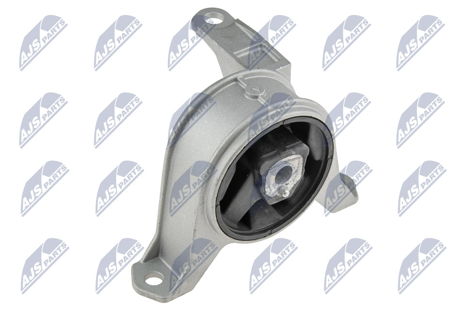 Engine Mounting - ZPS-PL-001 NTY