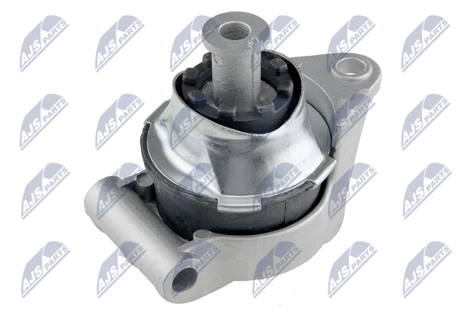 variklio montavimas - ZPS-PL-003 NTY