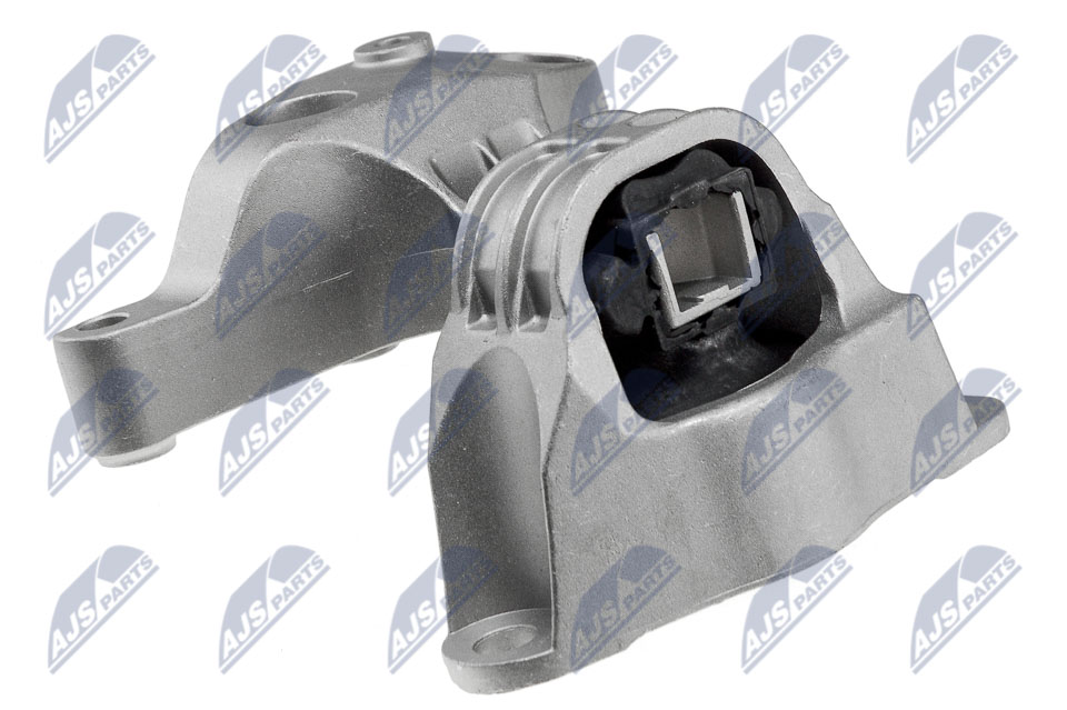 variklio montavimas - ZPS-RE-007 NTY
